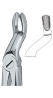 Tooth Ext Forceps